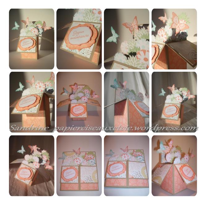 carte boîte pop up tuto en ligne sur le blog - plusieurs vues