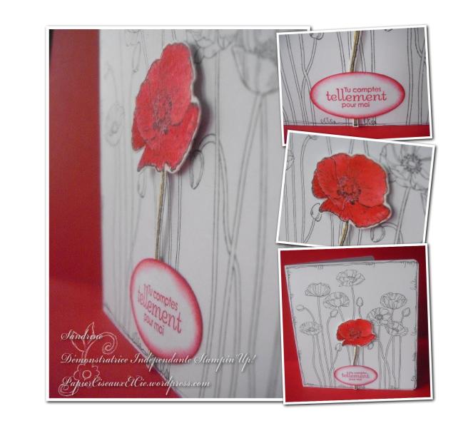 Carte fête des mamies détails