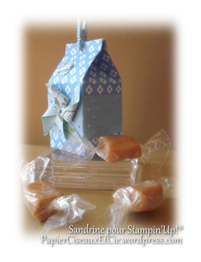 cadeau mini boîte à lait milk carton stampin up