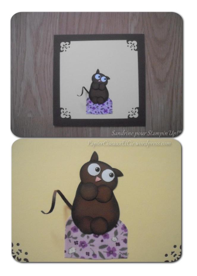 carte anniversaire chaton par Pauline avec perfo chouette punch owl builder