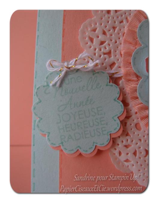 carte anniversaire mai stampin up sandrine greusard papierciseauxetcie.wordpress.com