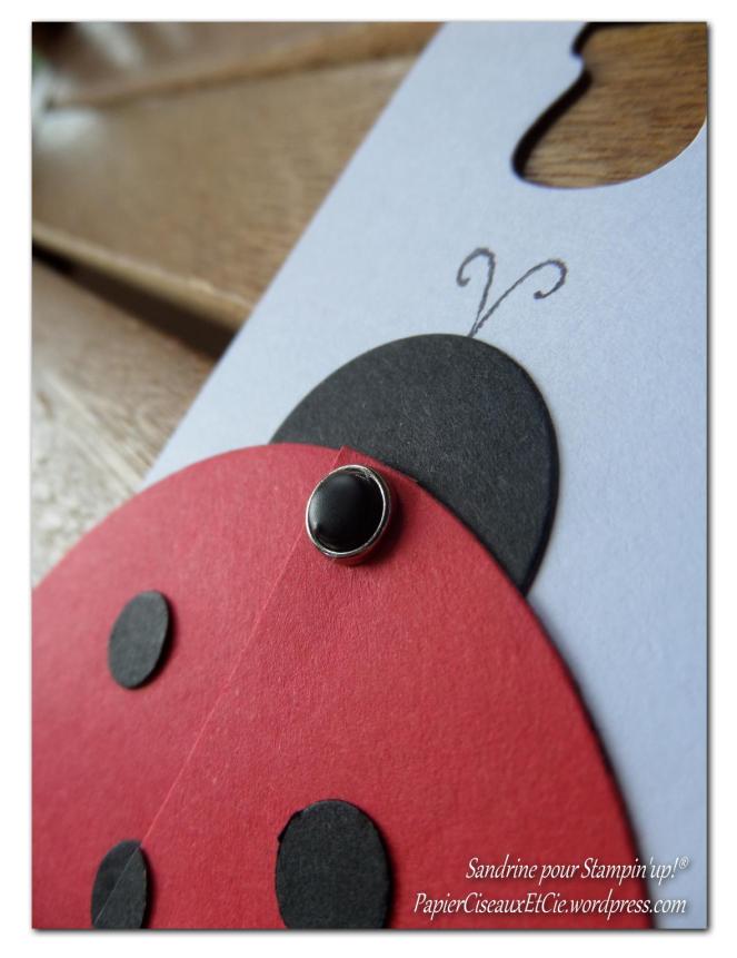 coccinelle détails papierciseauxetcie.wordpress