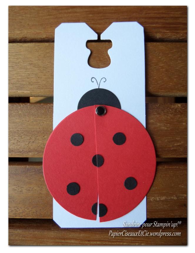 coccinelle fermée papierciseauxetcie.wordpress.com stampin up