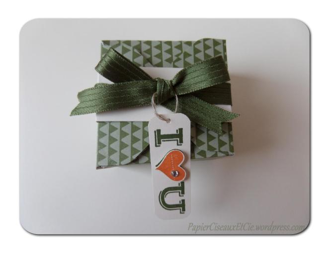 blog hop nouveautés stampin up 5 plus d'infos sur papierciseauxetcie.wordpress.com