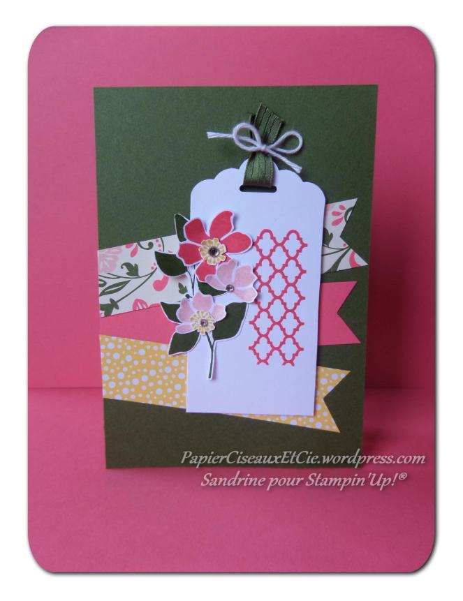 stampin up besançon feuillage sauvage papierciseauxetcie.wordpress