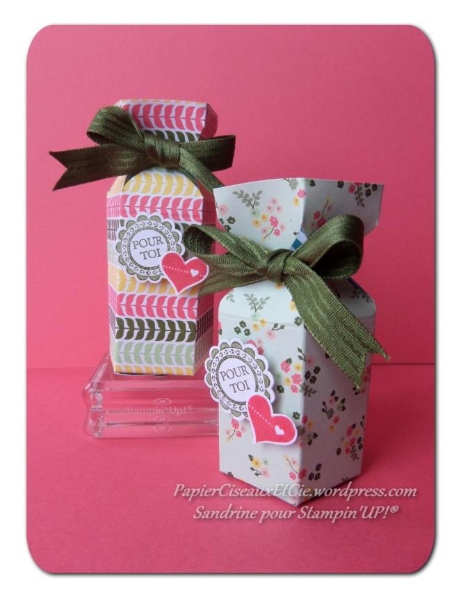 stampin up besançon swap papierciseauxetcie.wordpress.com