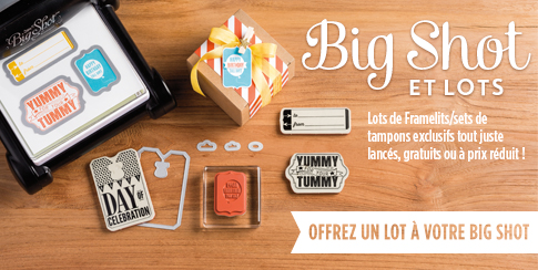 DemoMain_BS_DEMO_8_1-8_31_2014_FR