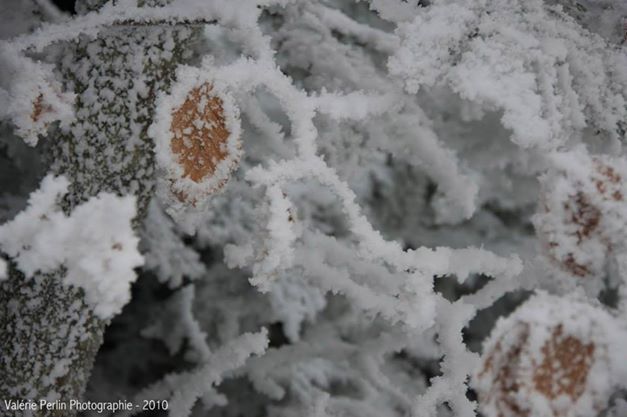 10710923_10152661117768762_2669914954747293030_n