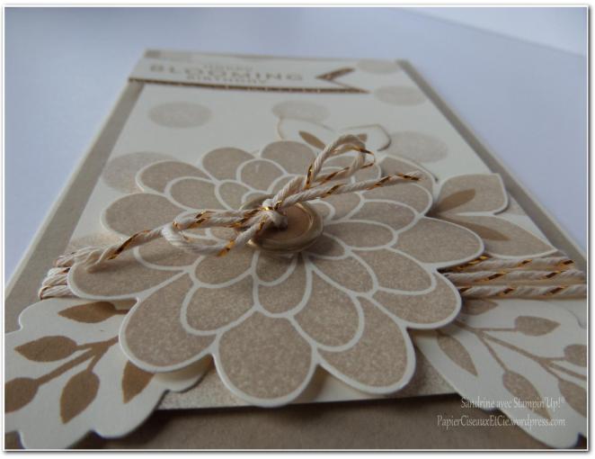 cardlift fou octobre détai1l