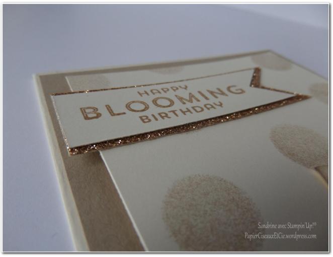 cardlift fou octobre détail 2