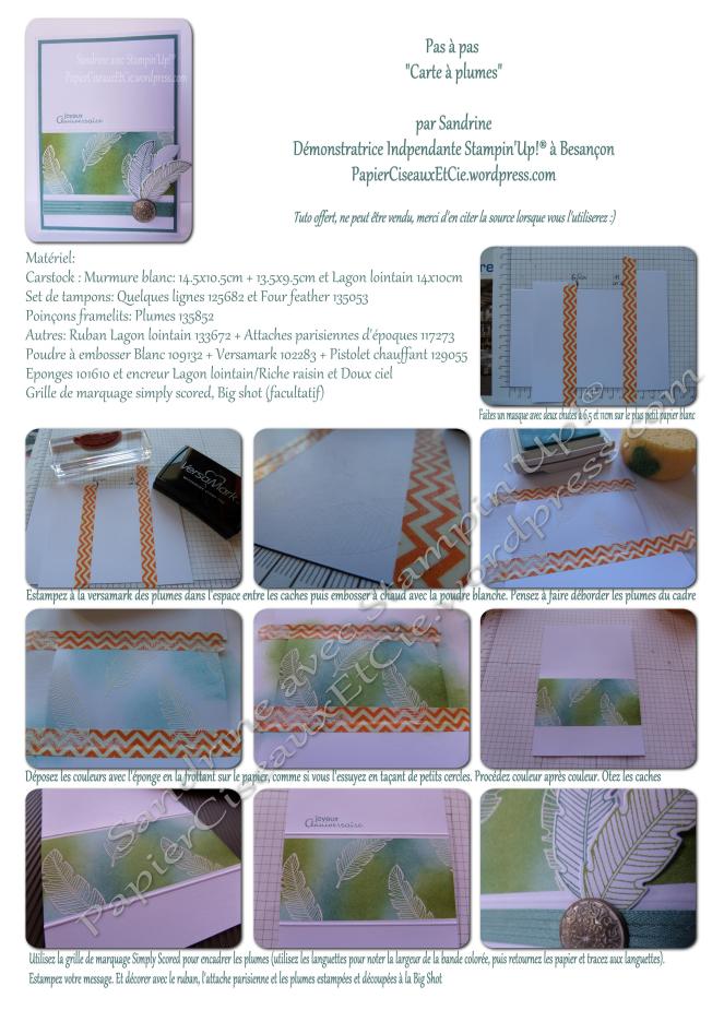 Tuto carte à plumes