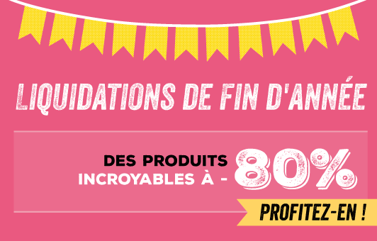 q1_yearend_customer_12-5-1-5-2015_fr