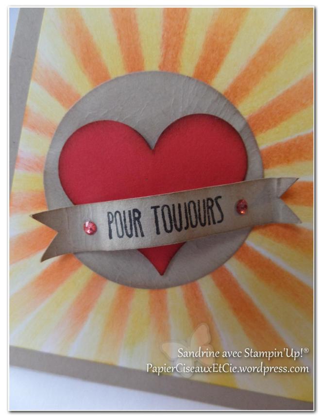 combo narcisse agrume rouge brune dune détail