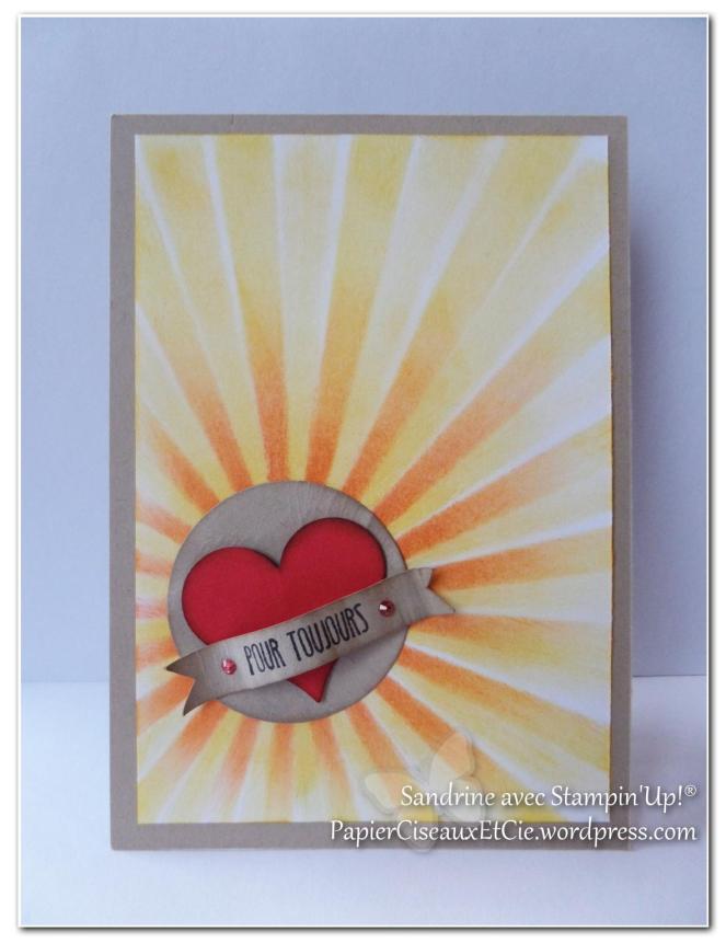 combo narcisse agrume rouge brune dune