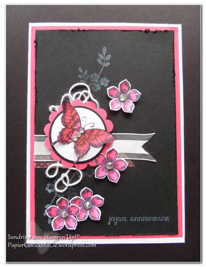 Cardlift fou février anniversaire