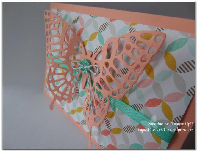 carte mathilde papillon2