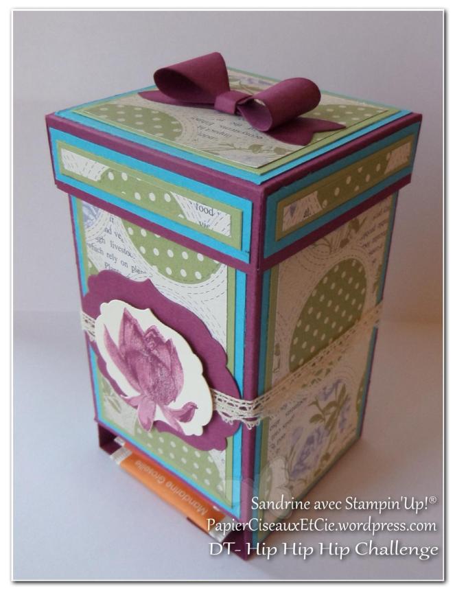 Combo violet bleu vert fruits des bois turquoise tentation riche raisin 2