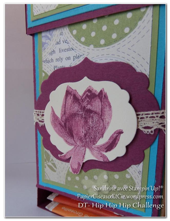 Combo violet bleu vert fruits des bois turquoise tentation riche raisin fleur