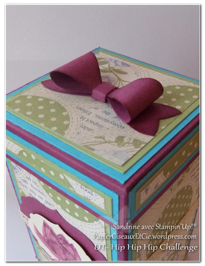 Combo violet bleu vert fruits des bois turquoise tentation riche raisin noeud