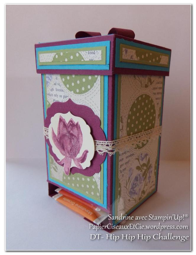 Combo violet bleu vert fruits des bois turquoise tentation riche raisin