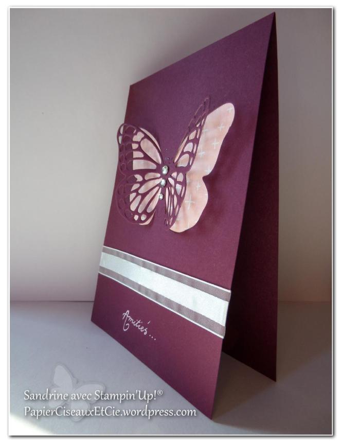 papillon faux laser 11portrait