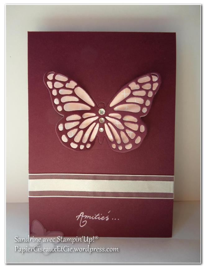 papillon faux laser 12
