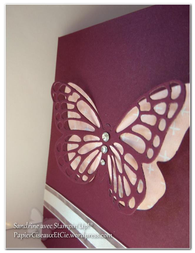 papillon faux laser 13