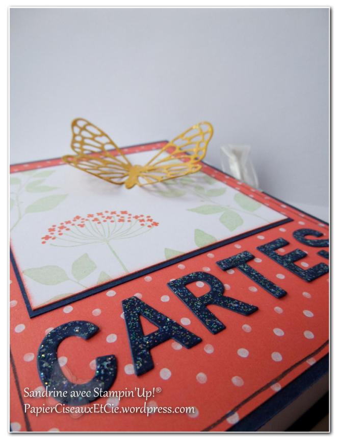 porte cartes 5 texte