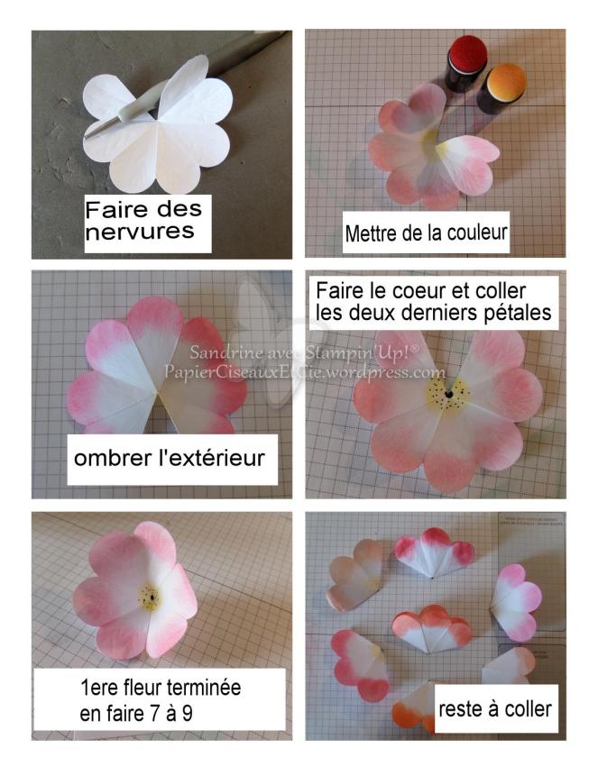 Vive le printemps étape 2