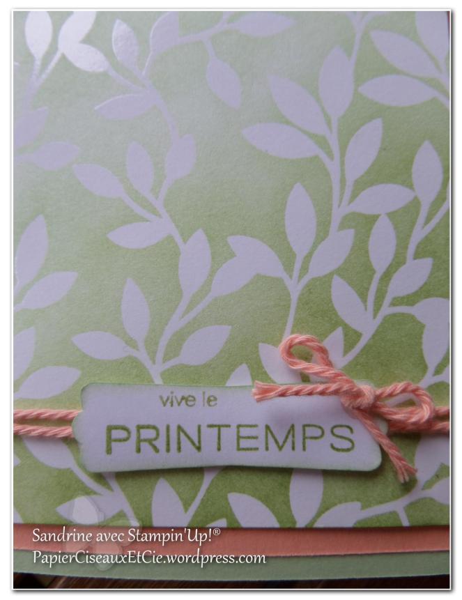 Vive le printemps D2TAILS