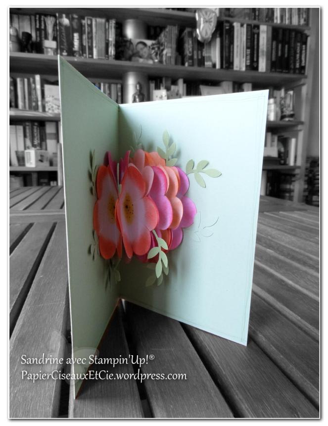 vive le printemps mi ouverture