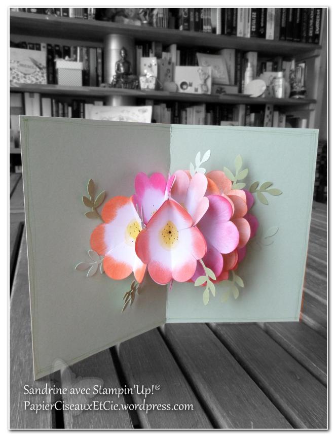 vive le printemps Ouverture