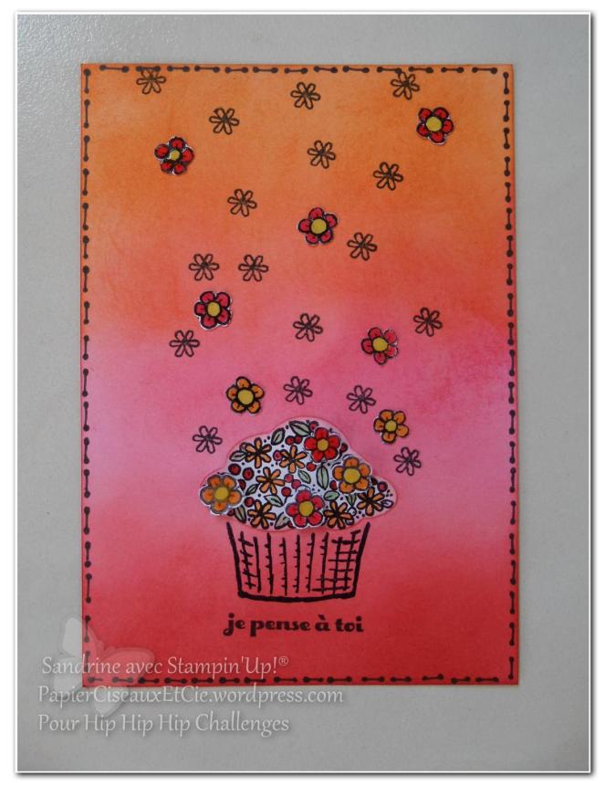 Défi hip hip hip challenges