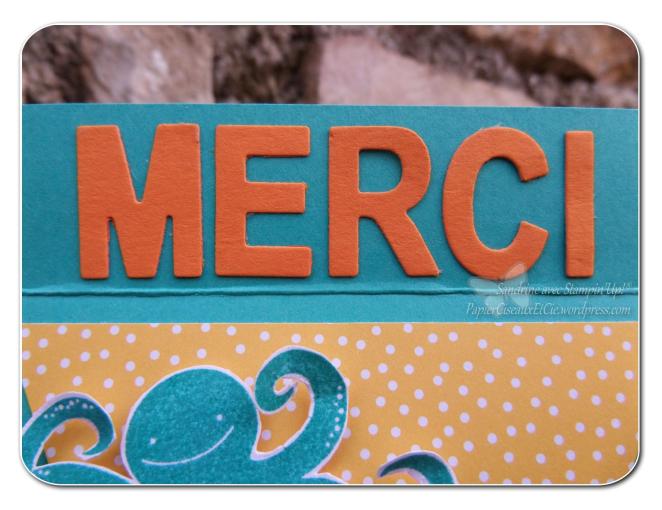 Combo défi détail1