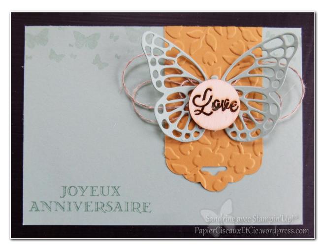 Anniversaire papillon