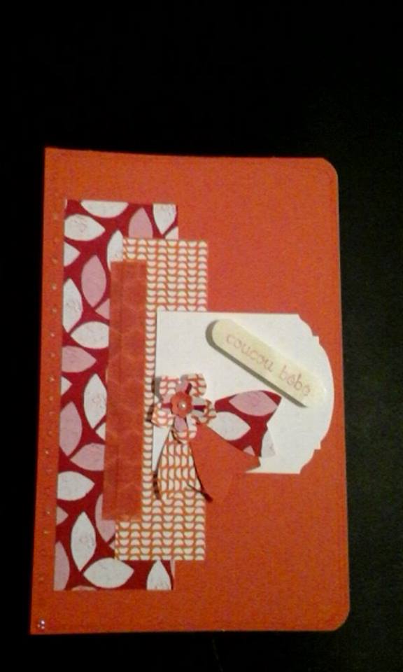 12179013_10208279212726894_504588487_n