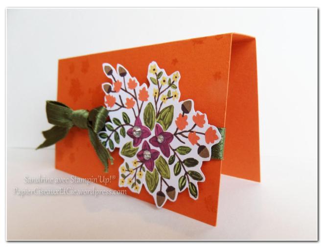 paquet cadeau stampin up papiercieseauxetcie 2