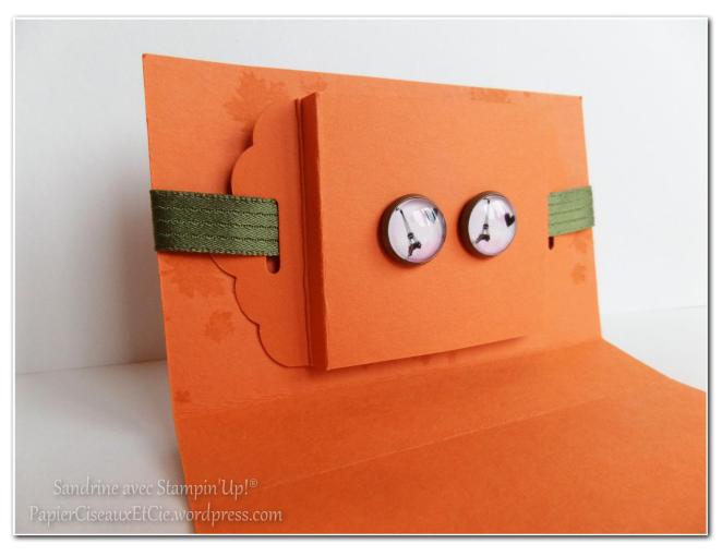 paquet cadeau stampin up papiercieseauxetcie 4