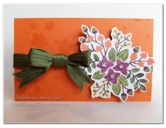 paquet cadeau stampin up papiercieseauxetcie