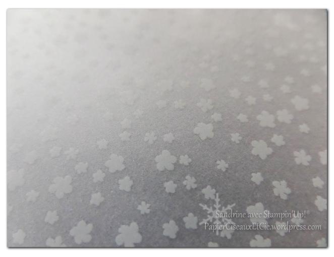 vélin nouveauté cadeau sab stampin up su papierciseauxetcie