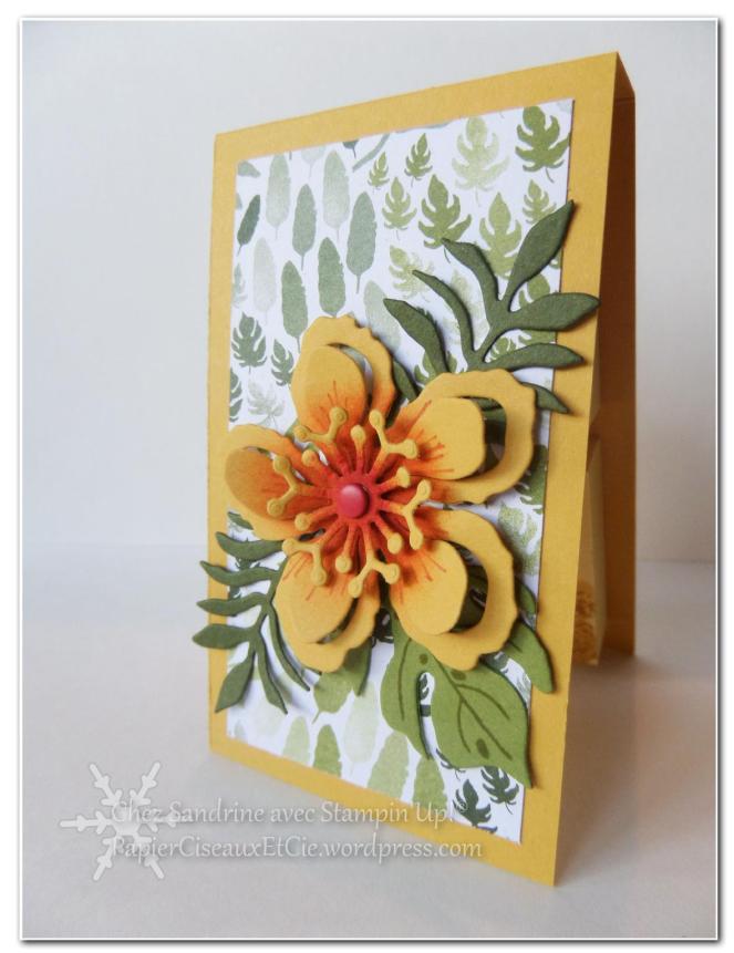 140625 paysagiste botanical blog hop