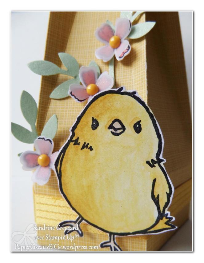 boîte avec tuto en ligne pâques sandrine stampin up papierciseauxetcie déco