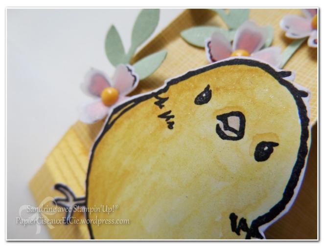 boîte avec tuto en ligne pâques sandrine stampin up papierciseauxetcie poussin