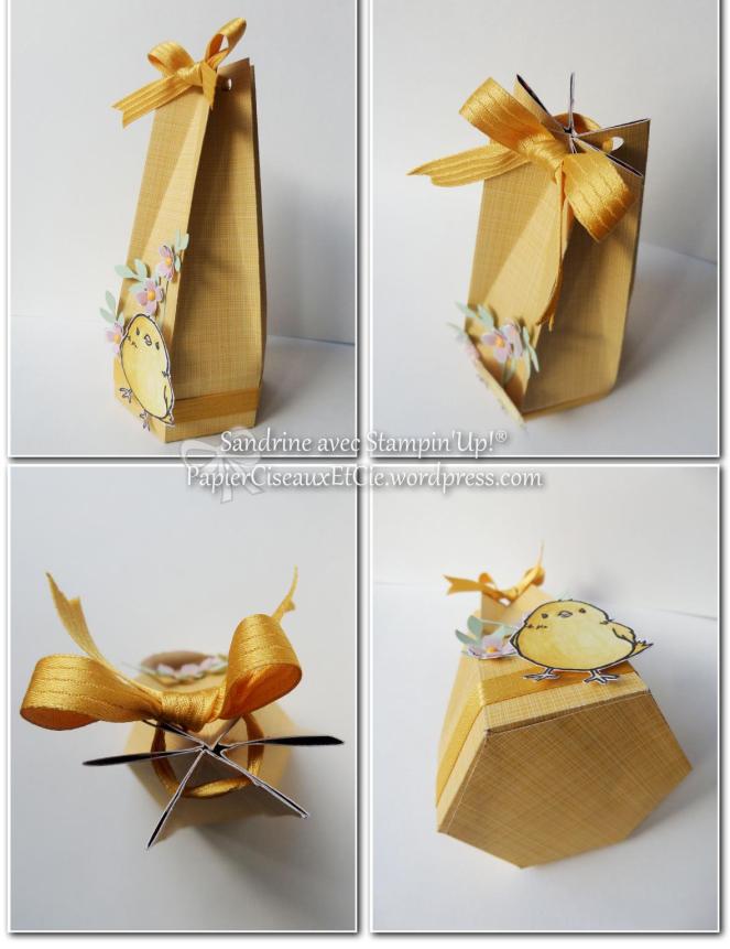 boîte avec tuto en ligne pâques sandrine stampin up papierciseauxetcie vue d'ensemble