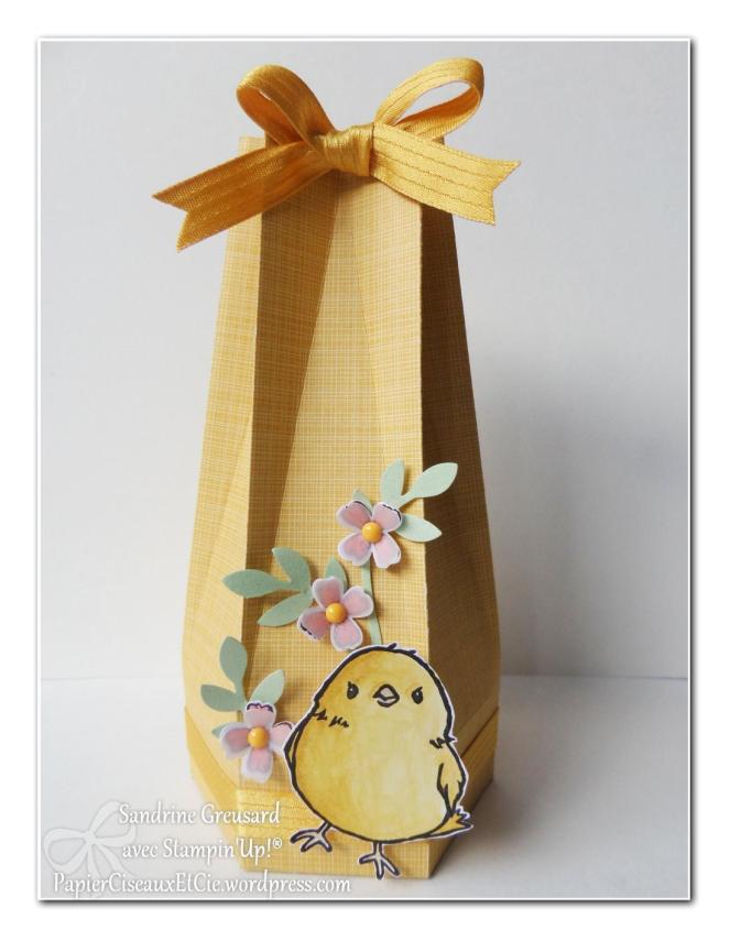 boîte avec tuto en ligne pâques sandrine stampin up papierciseauxetcie