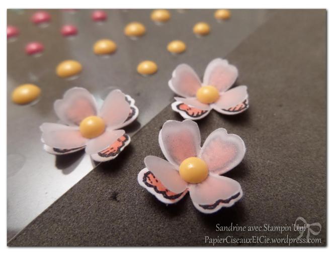 détail papierciseauxetcie