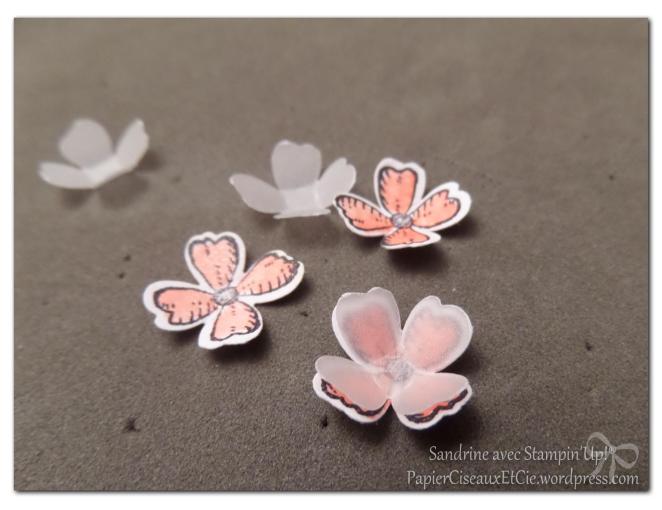 détails papierciseauxetcie