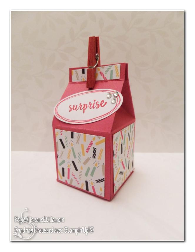 boite à lait surprise papierciseauxetcie