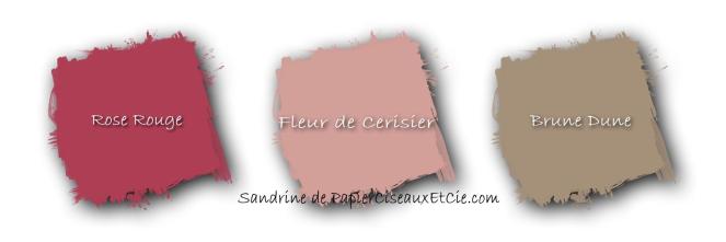 combo de couleurs rose rouge fleur de cerisier brune dune