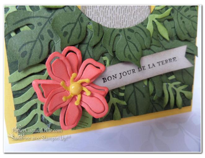 papierciseauxetcie bonjour la terre détail 2